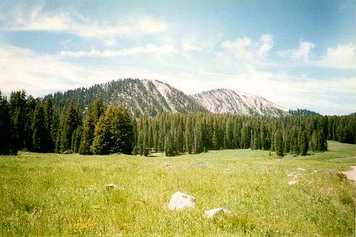 Moffit Peak from the north.