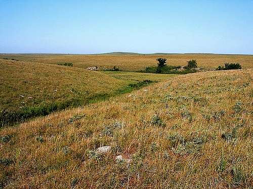 Tallgrass Prairie