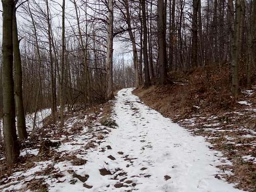 The trail to Ostrzyca