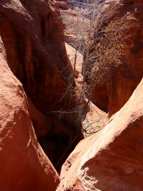 Looking down canyon