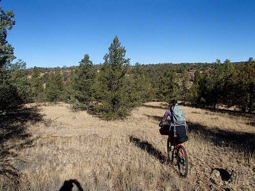 Bikepacking in remote southern New Mexico