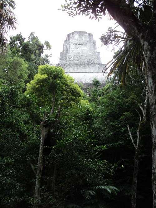 Tikal Guatemala, Temple V