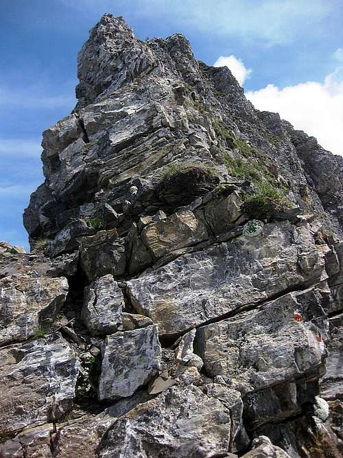 The steep west ridge of Schwarzhorn