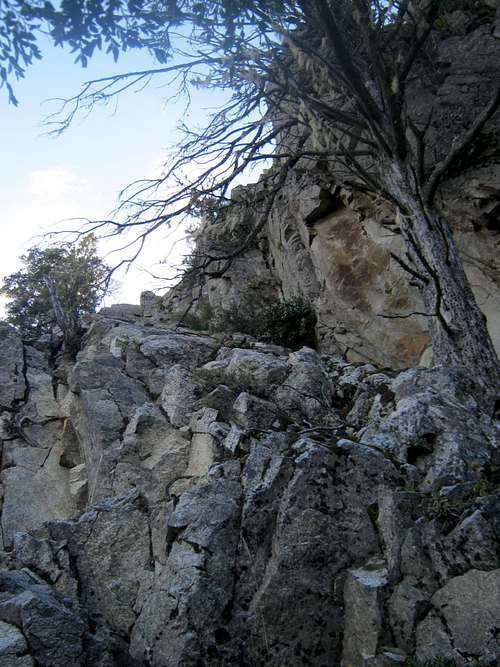 Cerro Goye Lower Cliffs