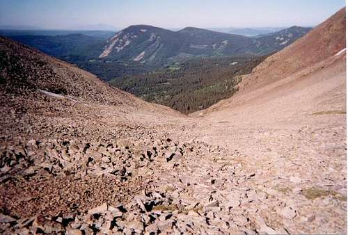 Looking down the scree slope...