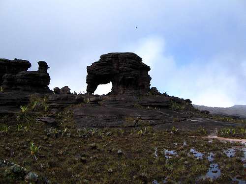 Mount Roraima