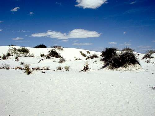 White Sands of New Mexico