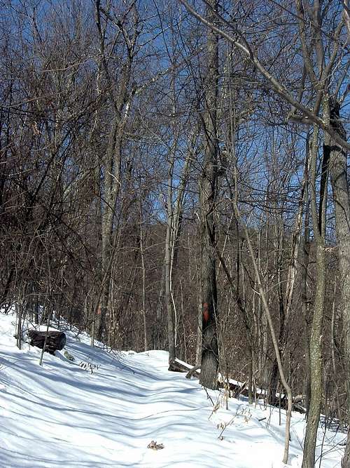Massauntten Trail in Winter