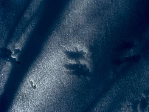 Critter tracks on Massanutten Trail