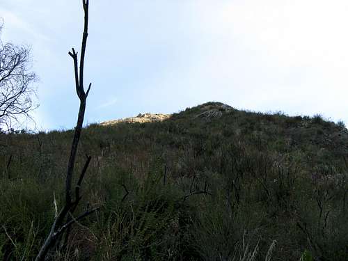 Dunsmore Canyon Ridge Hike