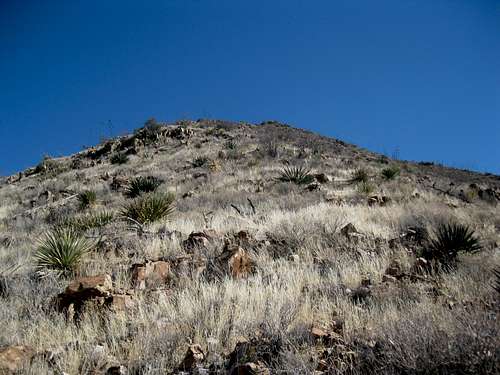 Typical upper ridge terrain