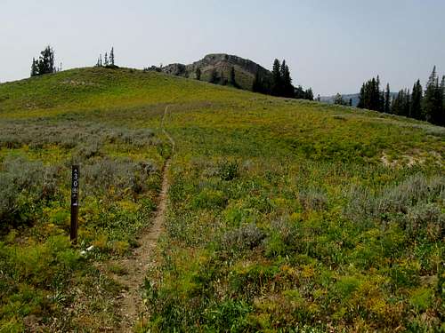 trail along Big Elk
