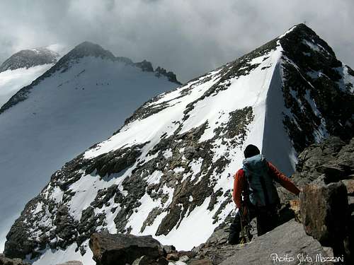 The ridge between Monte Nevoso and Pizzo delle Vedrette