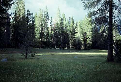 Camp I Meadow