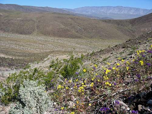 Death Valley