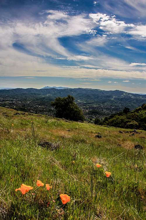 South from Burdell Mountain