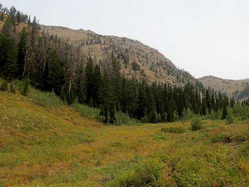 flanks of Sheep Creek Peak