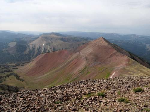 Mt. March Madness