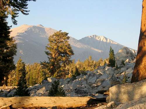High Sierra Trail campsite between Junction Meadow and Crabtree Ranger Station