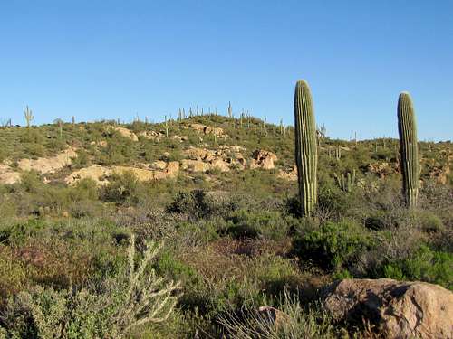 View at First Water Trailhead