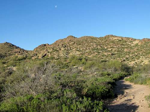 View near First Water Trailhead