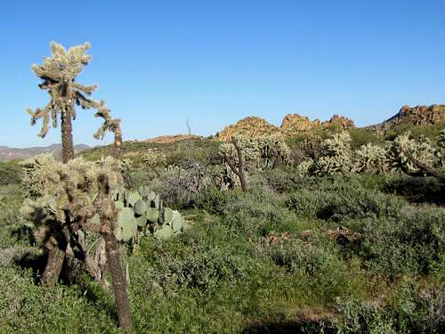 Garden Valley Plateau