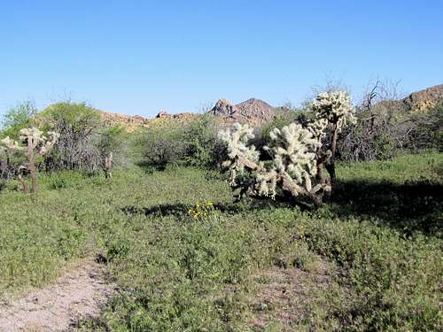 Garden Valley Plateau