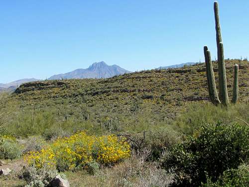 View of Four Peaks