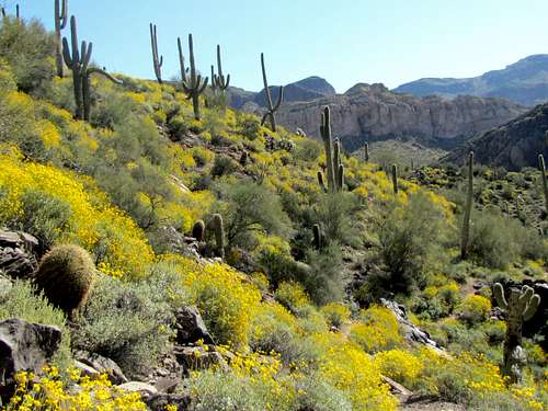 Descending into Second Water Canyon