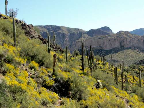 Descending into Second Water Canyon