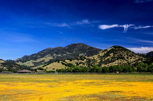 Mount St. Helena from Napa Valley