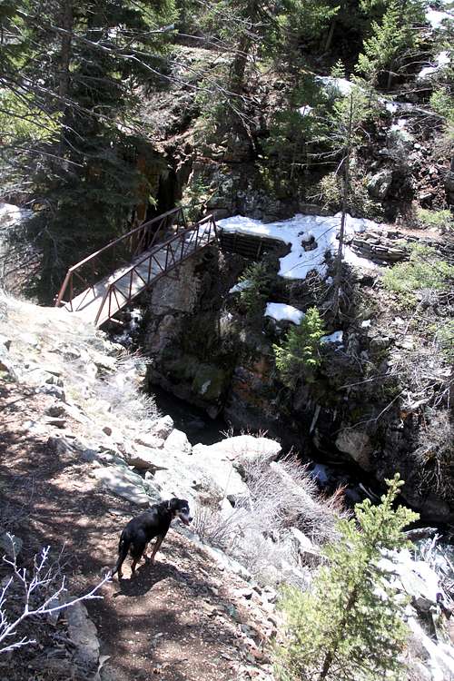 Curecanti Creek Trail