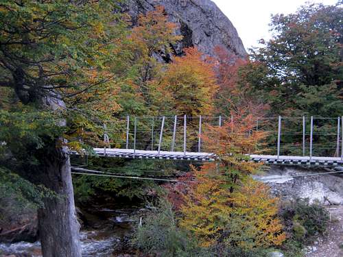 Puente Jakob