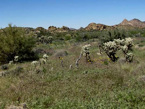 Junction of Black Mesa & Second Water Trails