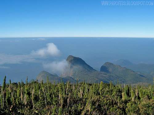 The incredible Agudos de Cotia