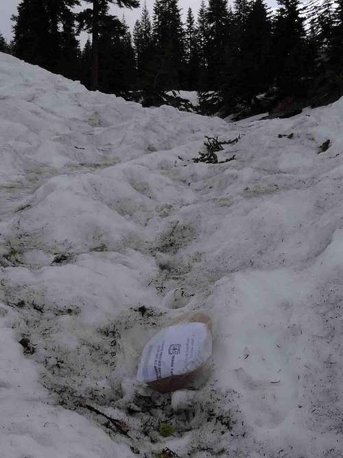 A bag with sh.. lost on a snow path near Bunny Flat, Mt Shasta
