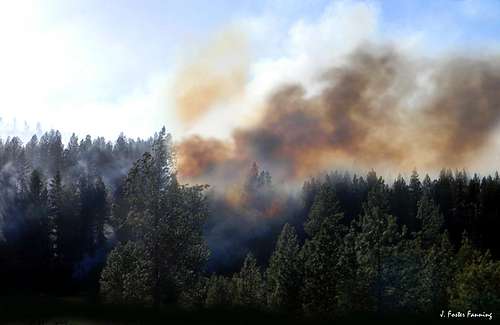 Forest Fire, Okanogan Highlands
