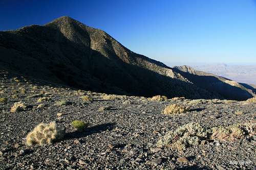 Telescope Peak