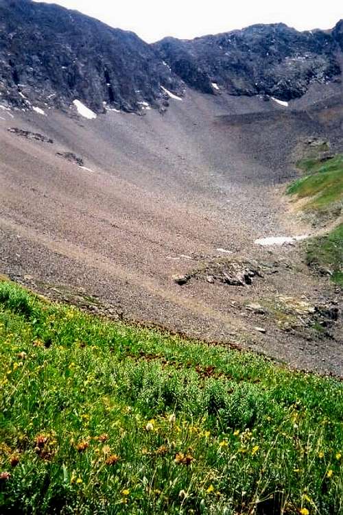 July 5, 2002
 Alpine tundra...