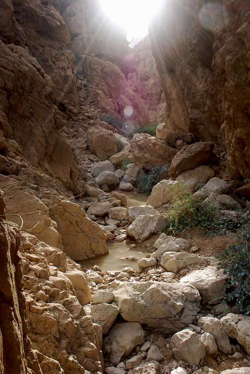 Judaean Desert Route N1