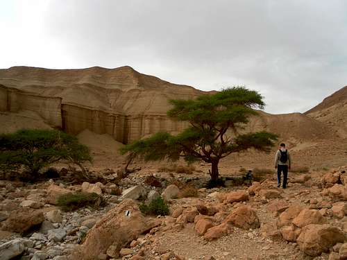 Juadeaean Desert Route N1