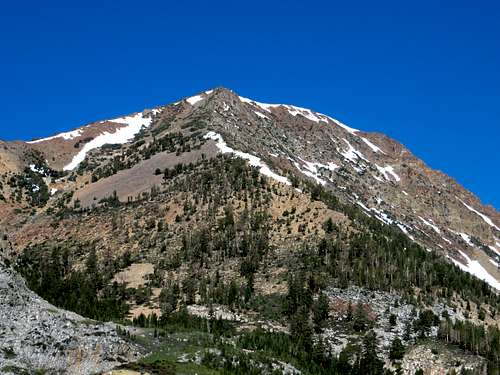 Tioga Peak east face - from Highway 120