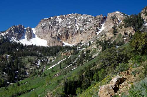 Deseret Peak in June