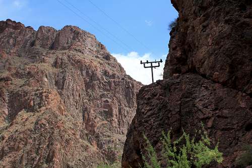 Telephone Pole on North Kaibab Trail