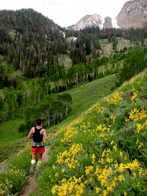 Running through the wildflowers with the Twin Couloirs of Deseret Peak ahead