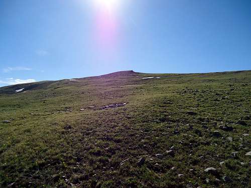 Uinta Tundra