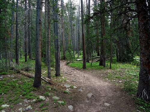 Stillwater Fork Trail