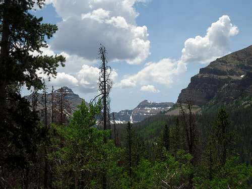 Uinta View