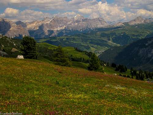 Flowerfield & Tofana di Rozes