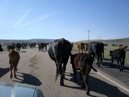 Wyoming State Highway 414